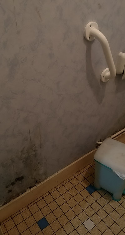 Papier-peint sur mur de toilettes présentant des traces de moisissures