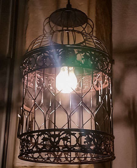 Lampe cage oiseaux allumée