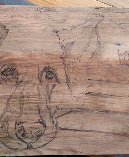 Work-in-progress du portrait d'Eden le chien sur bois massif : croquis sur bois