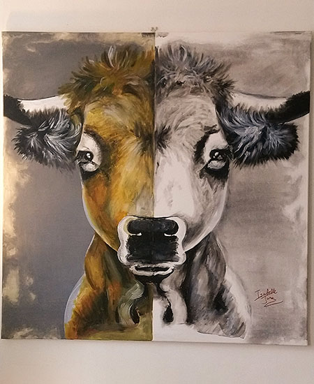 Portrait de vache